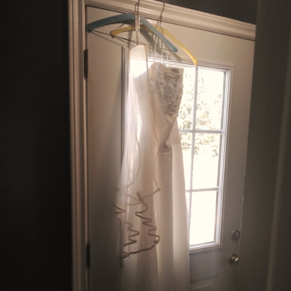Wedding dress with veil